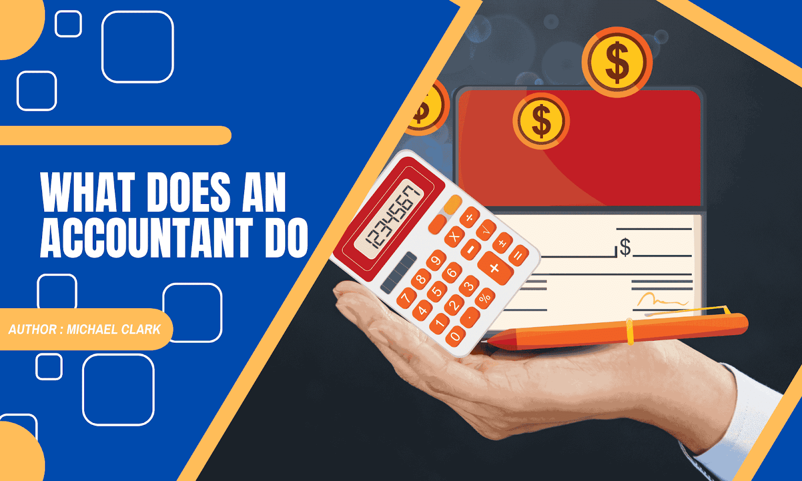 What Does an Accountant Do? Detailed Guideline